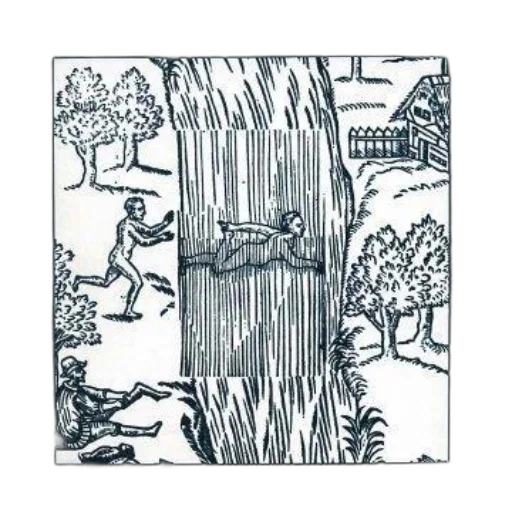 tree, forest, fire, snow transparent PNG cut-out