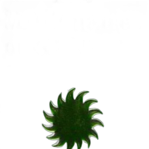 hair, staff, crown, flower transparent PNG cut-out
