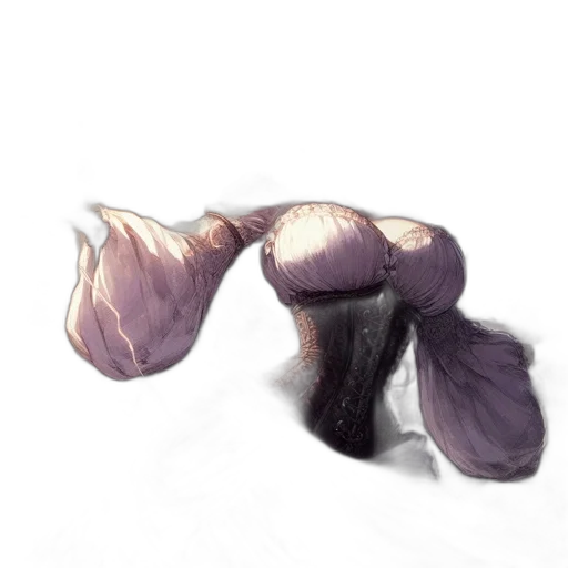 hair, flower, creature, crown transparent PNG cut-out