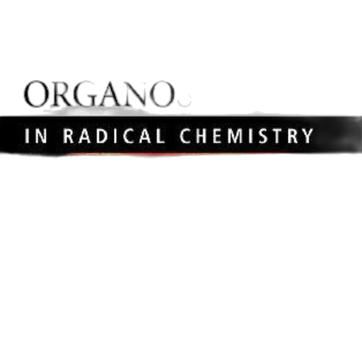 jacket, jewelry, organosilanes, radical transparent PNG cut-out