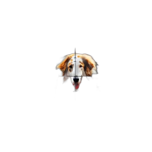 animal, face, creature, umbrella transparent PNG cut-out