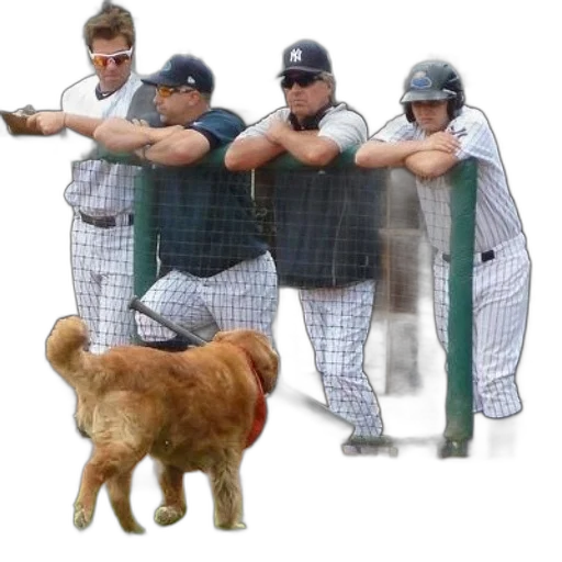 animal, staff, creature, dog transparent PNG cut-out