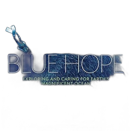 blue, cover, hope, sylvia transparent PNG cut-out