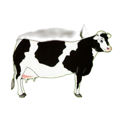 animal, food, jewelry, weapon transparent PNG cut-out