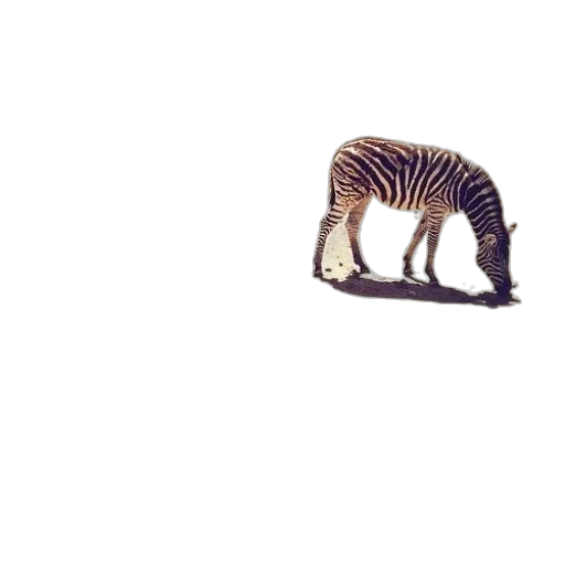 animal, creature, hat, hair transparent PNG cut-out