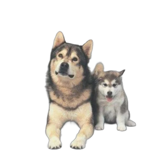 animal, staff, creature, 3d render transparent PNG cut-out