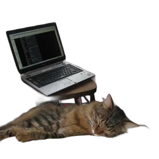 staff, furniture, animal, robot transparent PNG cut-out