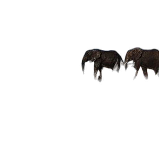 animal, creature, dragon, hair transparent PNG cut-out