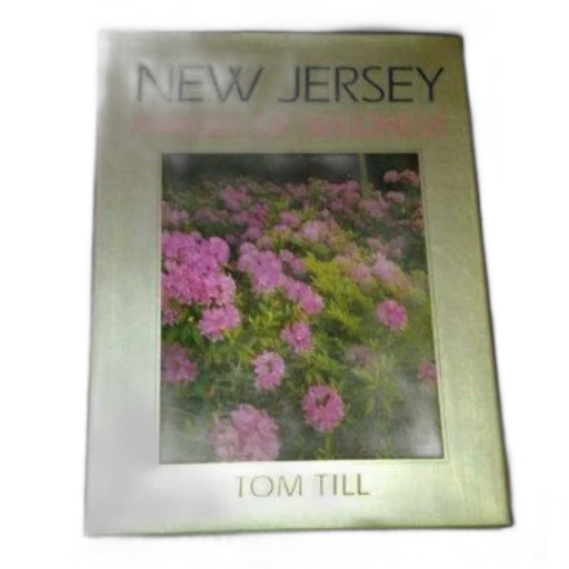 jacket, pastel, book, titled transparent PNG cut-out