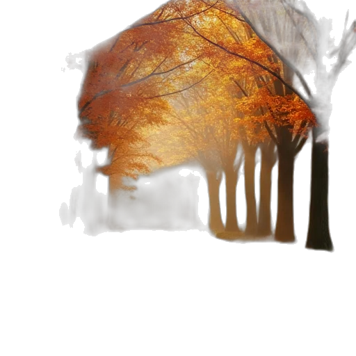 tree, food, hair, crown transparent PNG cut-out