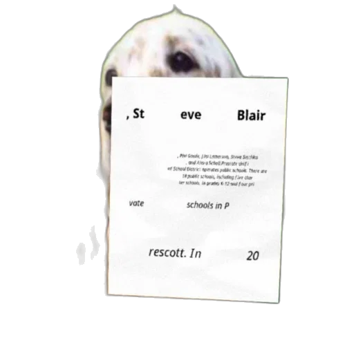 staff, face, creature, poster transparent PNG cut-out