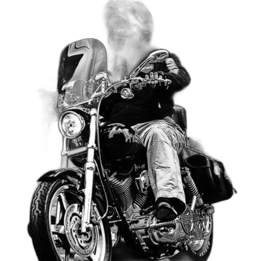 jacket, weapon, animal, photorealistic transparent PNG cut-out