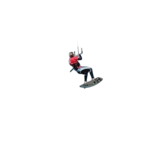 staff, robot, weapon, animal transparent PNG cut-out