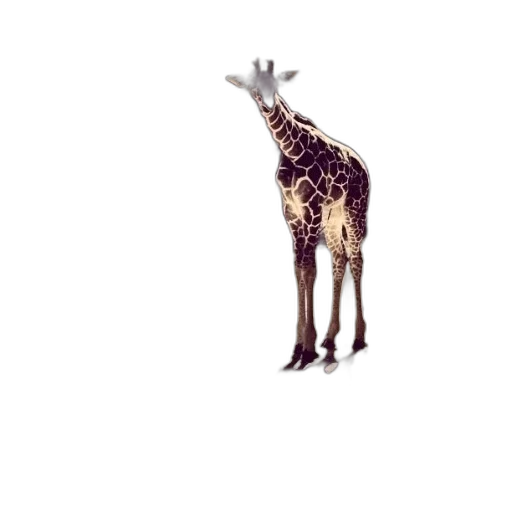 animal, creature, staff, crown transparent PNG cut-out