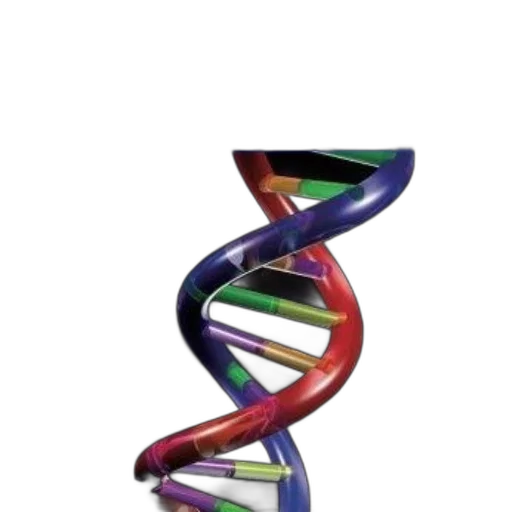 cover, introduction, veterinary, genetics transparent PNG cut-out