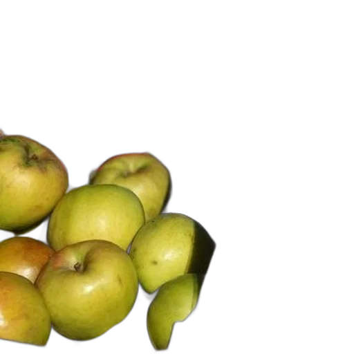 food, crown, tree, staff transparent PNG cut-out