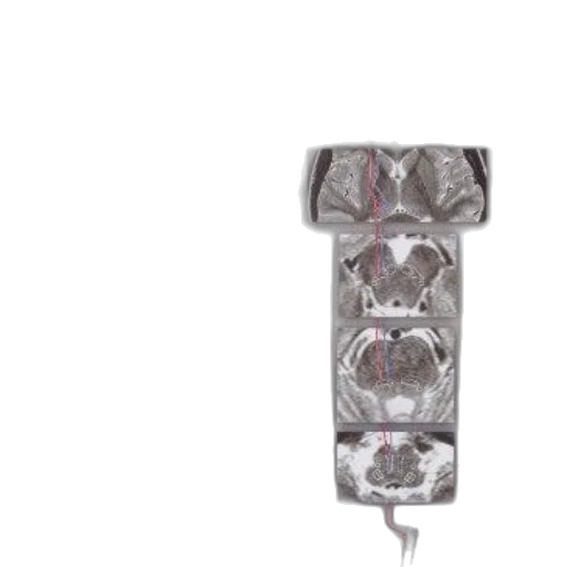 jewelry, crown, umbrella, sword transparent PNG cut-out