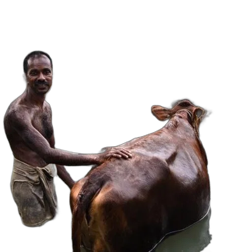 animal, staff, creature, weapon transparent PNG cut-out