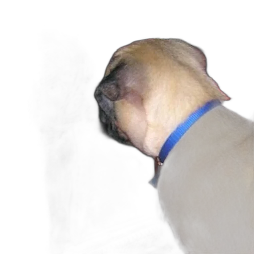 staff, animal, face, creature transparent PNG cut-out