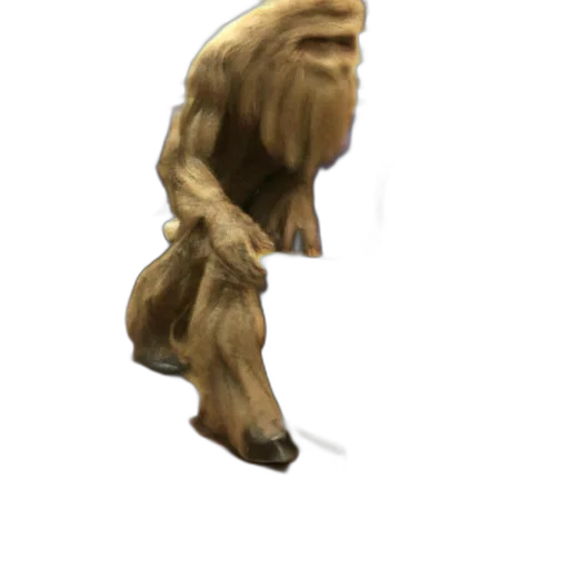 creature, hair, animal, staff transparent PNG cut-out