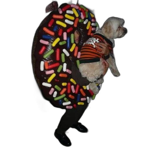 jacket, animal, food, hat transparent PNG cut-out