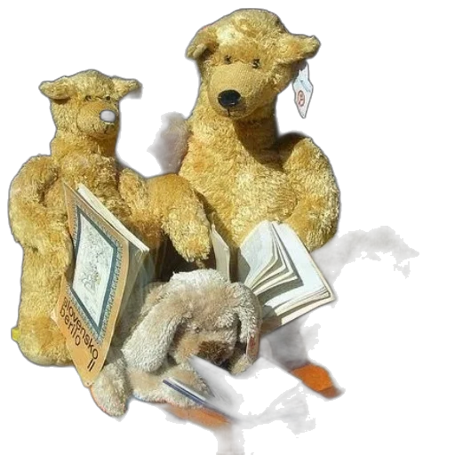 teddy, bear, store, display transparent PNG cut-out