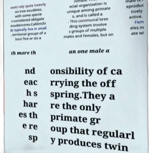 text-heavy, image, discussing, social transparent PNG cut-out