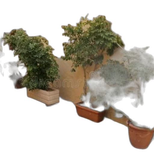 tree, furniture, 3d render, concept art transparent PNG cut-out