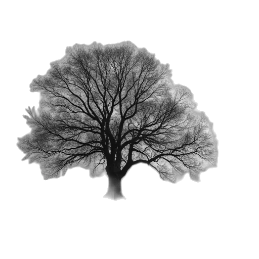tree, crown, hair, face transparent PNG cut-out