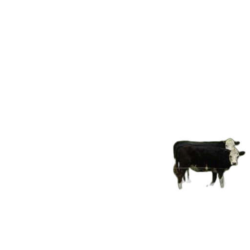 animal, creature, food, robot transparent PNG cut-out