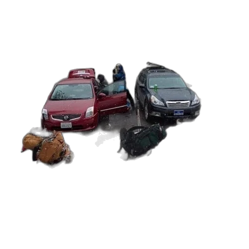car, animal, 3d render, concept art transparent PNG cut-out