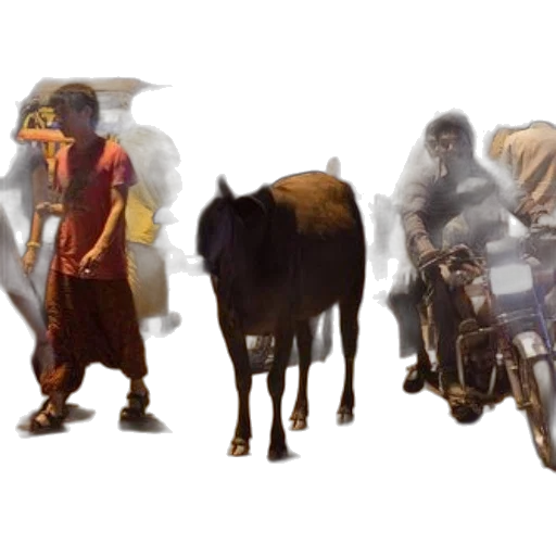 animal, concept art, fantasy art, photorealistic transparent PNG cut-out