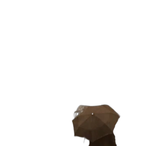 hat, umbrella, mask, staff transparent PNG cut-out