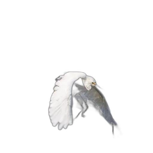 animal, dragon, creature, staff transparent PNG cut-out