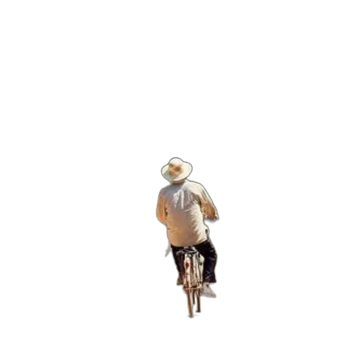 hat, jacket, animal, robot transparent PNG cut-out