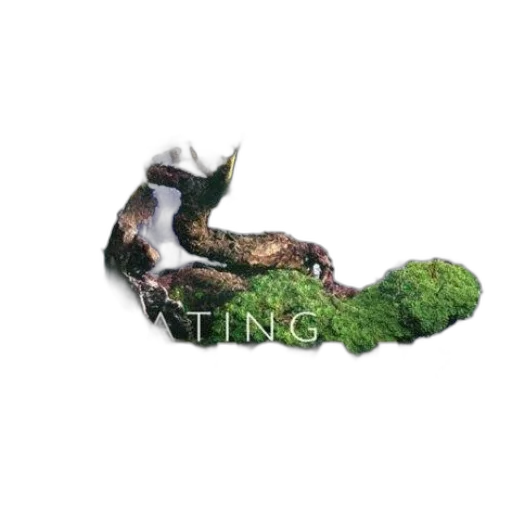 creature, dragon, food, animal transparent PNG cut-out