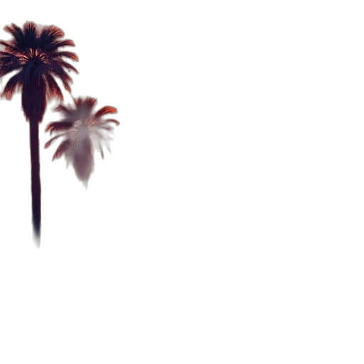tree, umbrella, flower, weapon transparent PNG cut-out