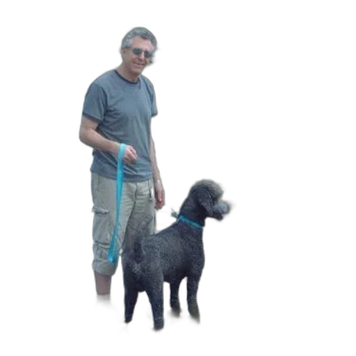 staff, animal, creature, umbrella transparent PNG cut-out