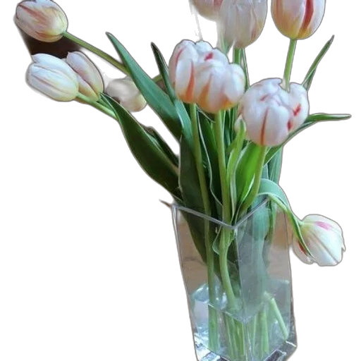 flower, crown, bottle, jewelry transparent PNG cut-out