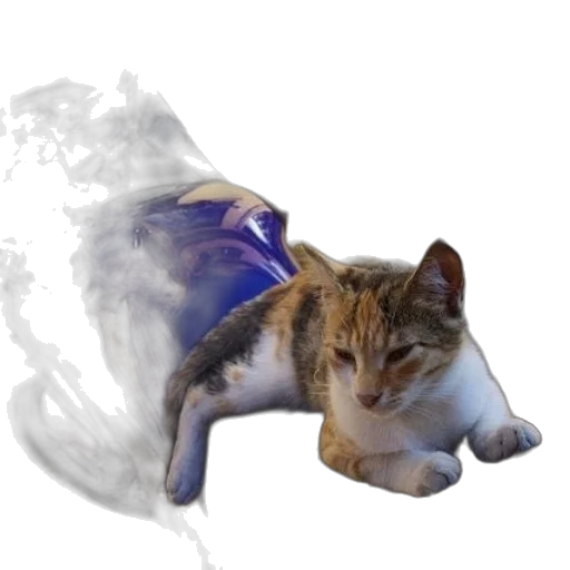 dragon, animal, creature, staff transparent PNG cut-out