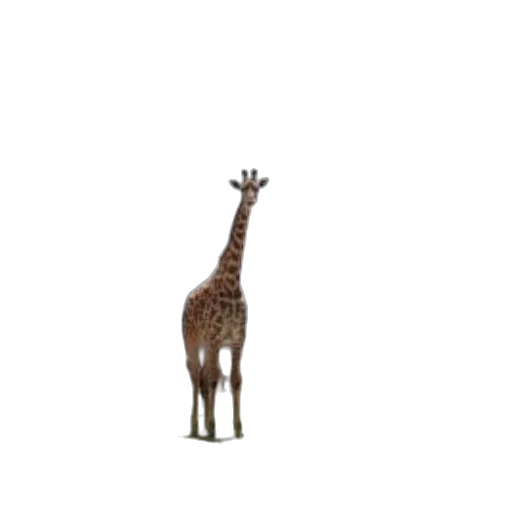 animal, creature, staff, weapon transparent PNG cut-out