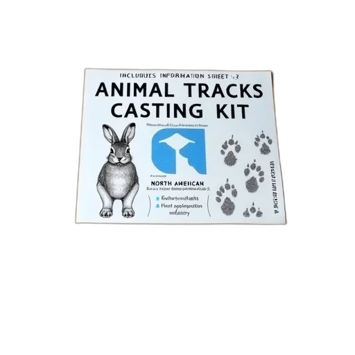 animal, concept art, cardboard, box transparent PNG cut-out