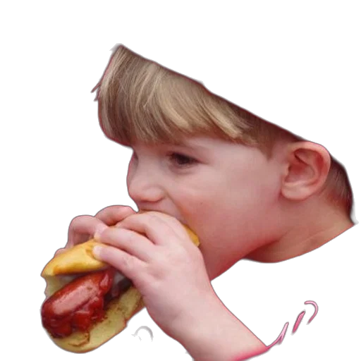 food, animal, face, creature transparent PNG cut-out
