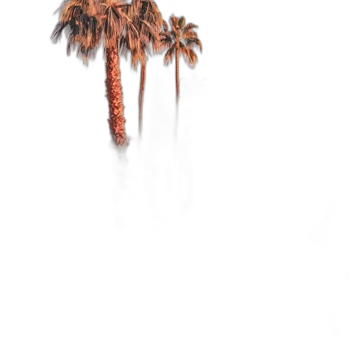 tree, umbrella, hair, jacket transparent PNG cut-out