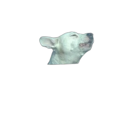 animal, creature, face, mask transparent PNG cut-out