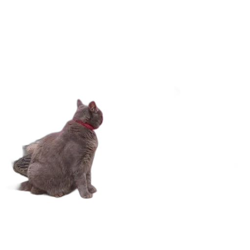 animal, creature, staff, robot transparent PNG cut-out