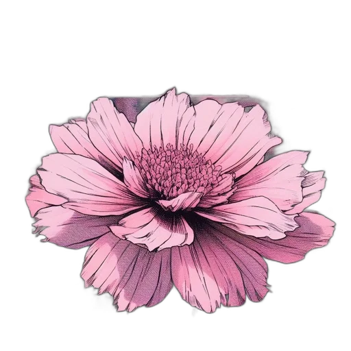 flower, crown, jewelry, dress transparent PNG cut-out