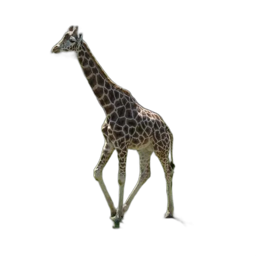 animal, creature, staff, jewelry transparent PNG cut-out