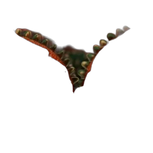 dragon, crown, creature, animal transparent PNG cut-out