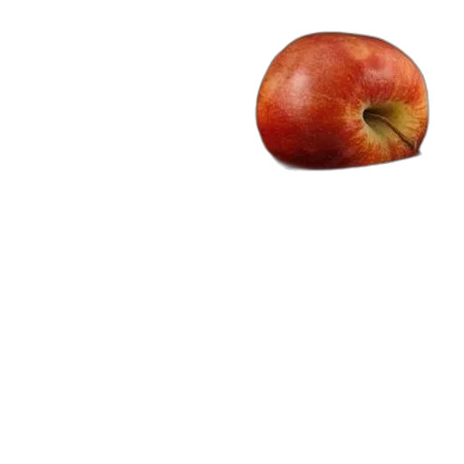 food, crown, animal, tree transparent PNG cut-out